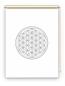 Preview: Rollo Blume des Lebens grau blanco  - Sichtschutz Extartiqe